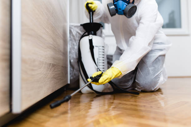 Best Exterminator Services  in Osceola, MO