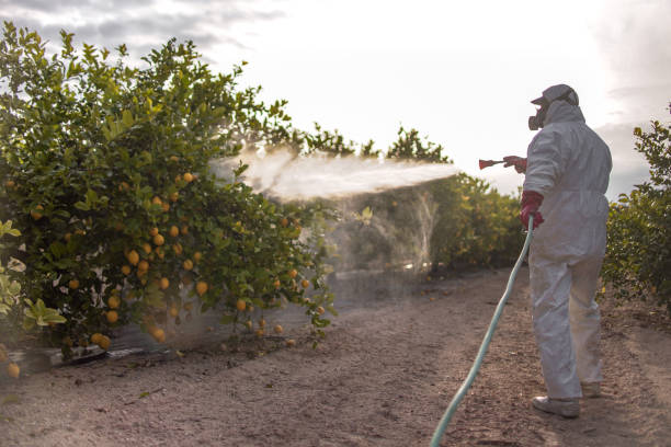 Best Affordable Pest Control Services  in Osceola, MO