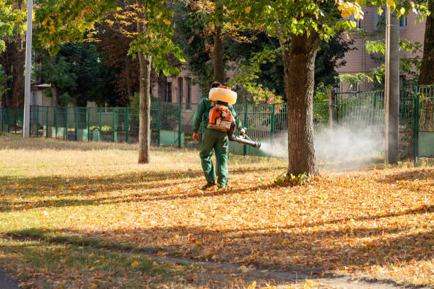 Best Local Pest Control Services  in Osceola, MO