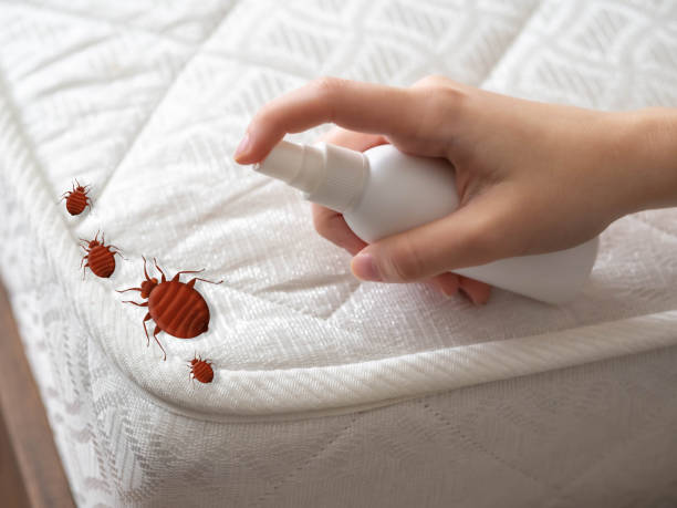 Best Cockroach Control Services  in Osceola, MO
