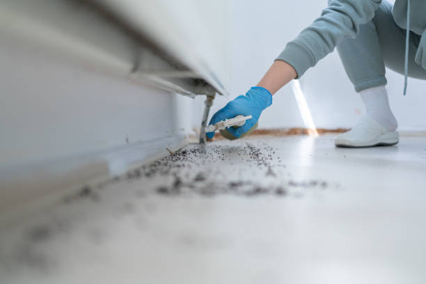 Best Exterminator Services  in Osceola, MO