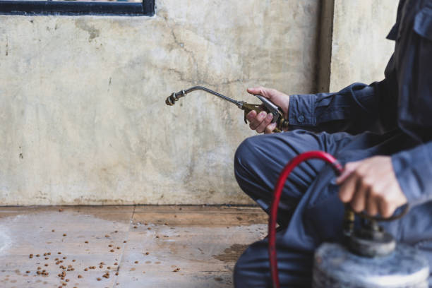 Professional Pest Control in Osceola, MO