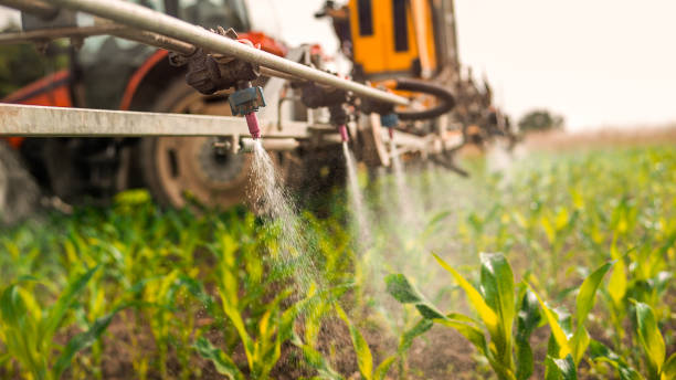 Pest Prevention Services in Osceola, MO